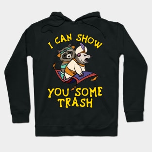 Raccoon I Can Show You Some Trash V2 Hoodie